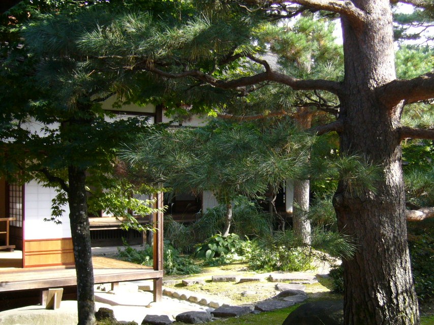 c0115697_13562028.jpg