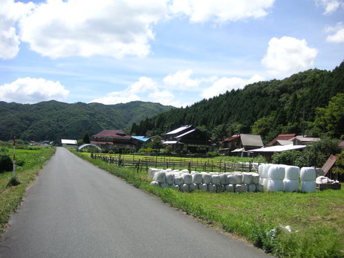 d0115997_1843760.jpg