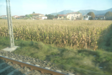 イタリアの車窓から_f0106597_3243871.jpg