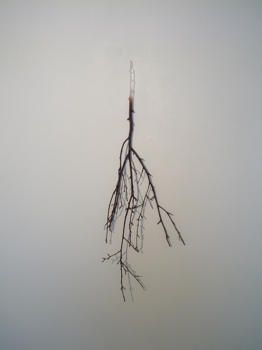 f0191500_850958.jpg