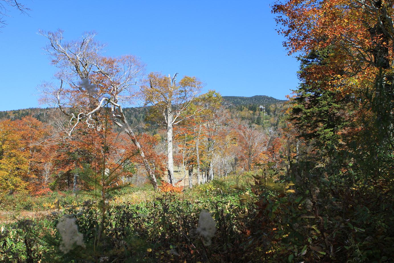 f0034602_2138176.jpg