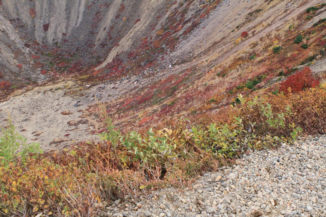 f0034602_21495552.jpg