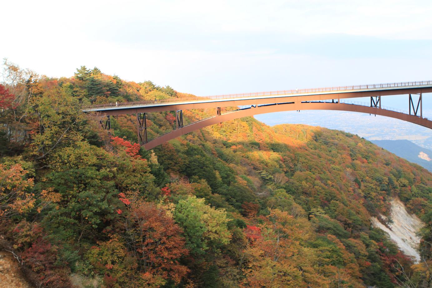 f0034602_21541654.jpg
