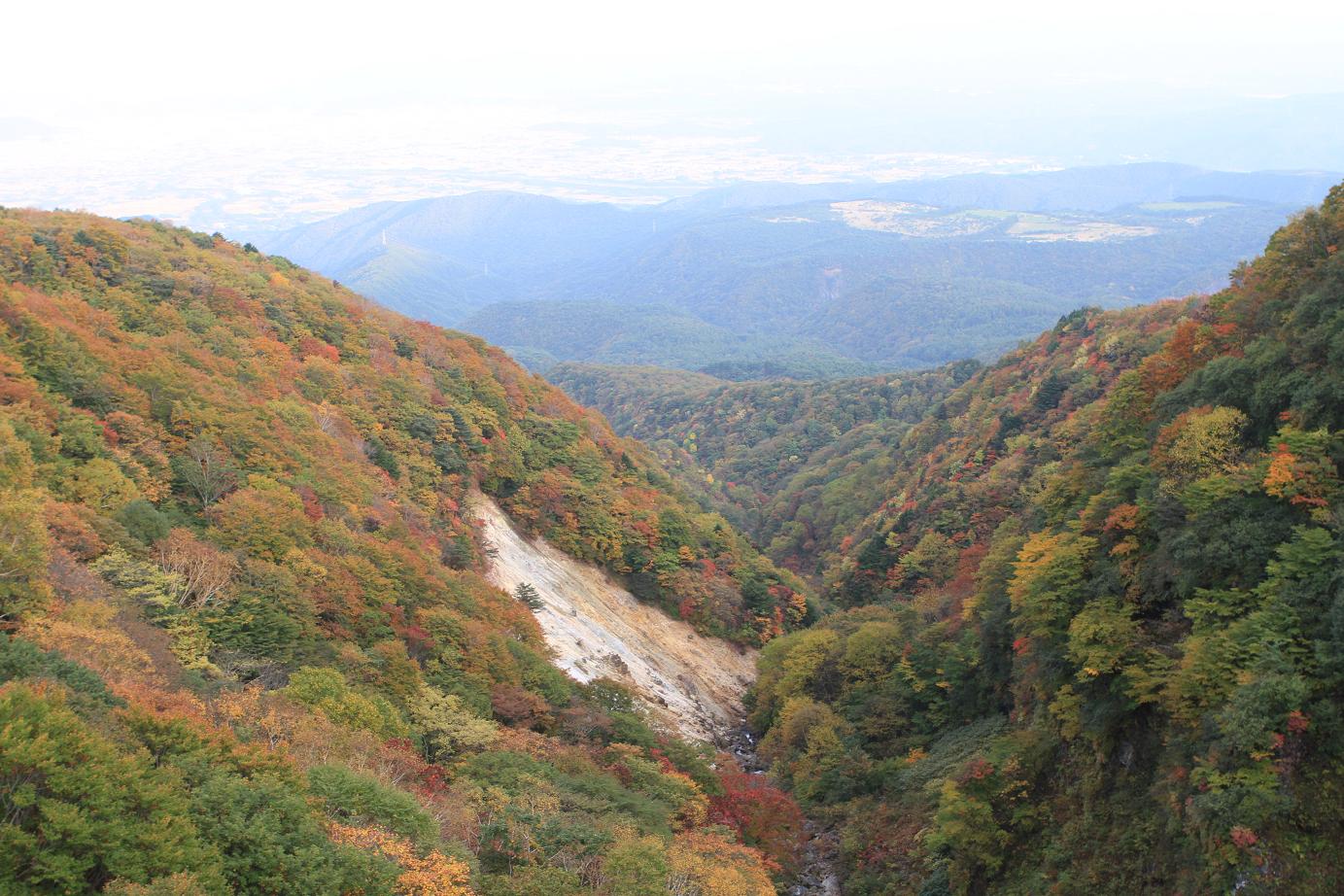 f0034602_21543688.jpg