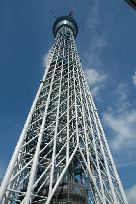 d0052904_17244723.jpg