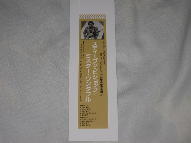 STEPHEN BISHOP / SLEEPING WITH GIRLS (紙ジャケ) : 無駄遣いな日々