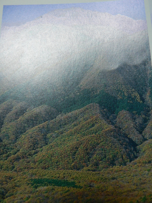 f0219710_822627.jpg