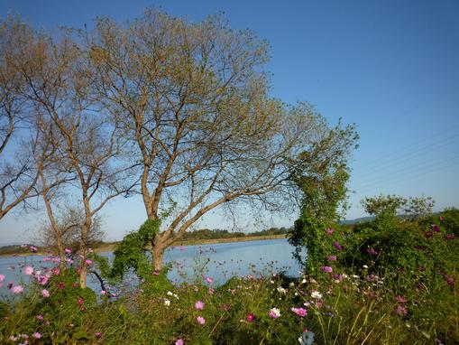 b0035611_19214278.jpg