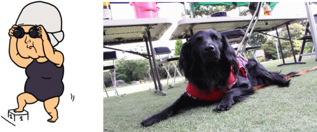 c0017311_104628.gif