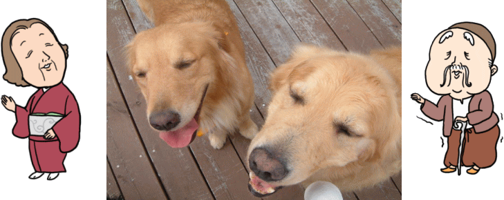 c0017311_958538.gif