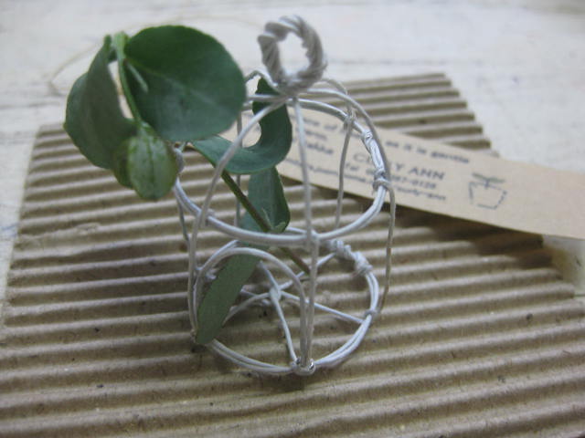 c0085916_315658.jpg