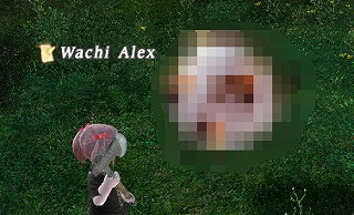 リーヴの羊がこんなに可愛いわけがない_d0039216_1851204.jpg