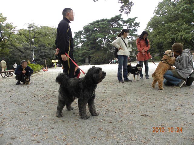 b0203018_18444769.jpg
