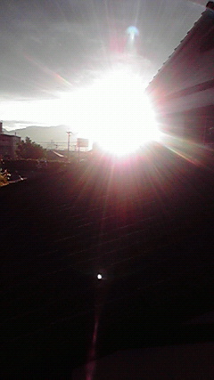 d0110022_7233894.jpg