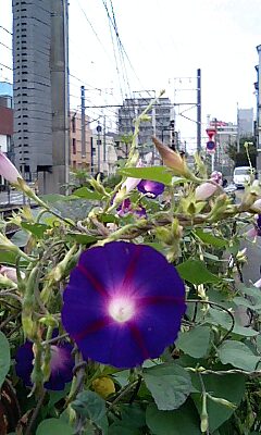 自由が丘で幻のまきまき?_d0152937_17334398.jpg