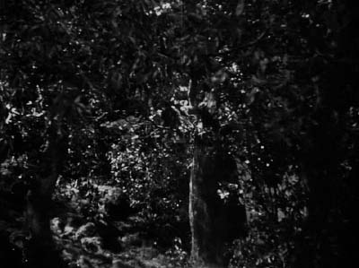 f0147840_22194166.jpg