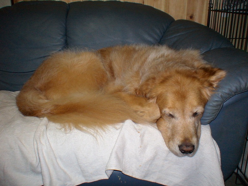e0023643_2116868.jpg