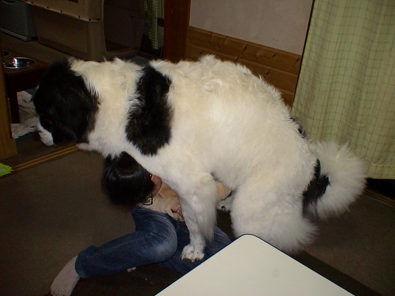 e0023643_21355161.jpg