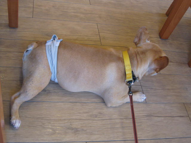 f0090344_122145.jpg