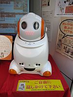 Q10 ここは生きてゆける場所ですか?人魚姫とオタクの恋_e0080345_1356543.jpg