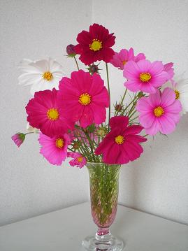 c0164052_22504787.jpg