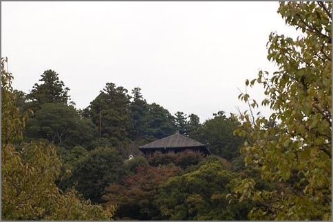 f0236653_12423268.jpg