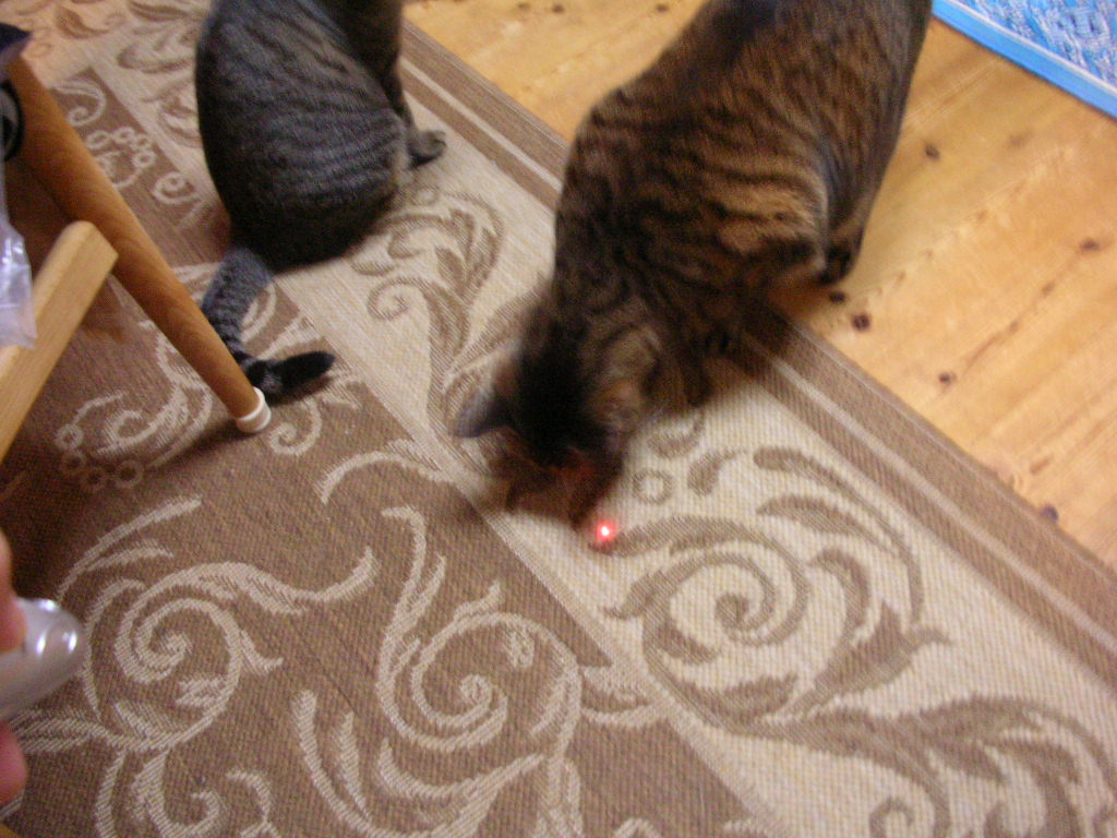 c0228356_06557.jpg