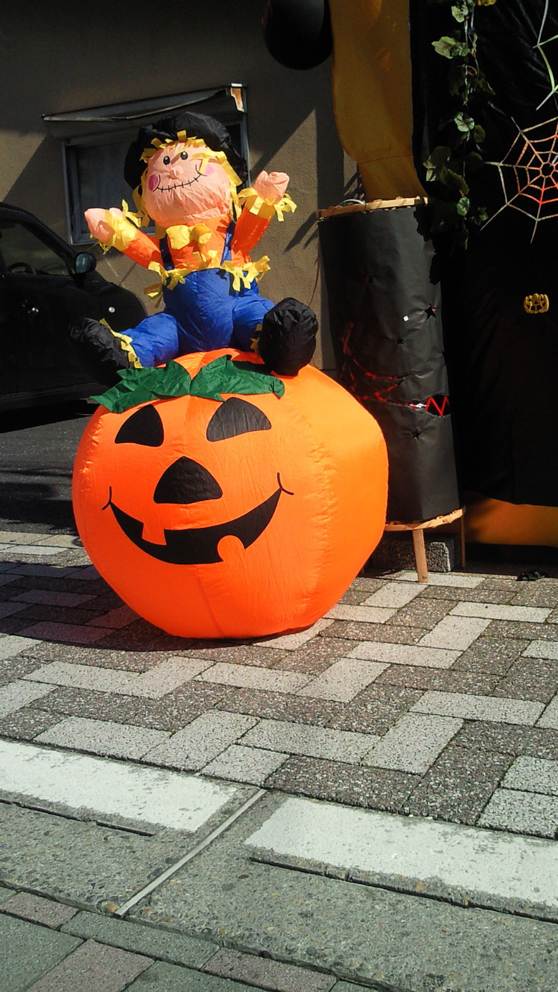 太陽がふりそそぐハロウイーン_f0233661_18495935.jpg