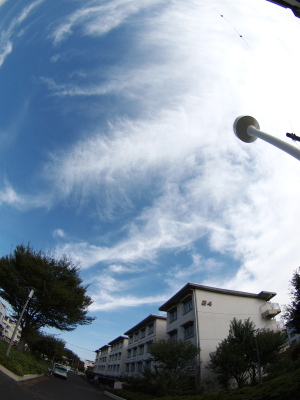 b0180764_23573966.jpg