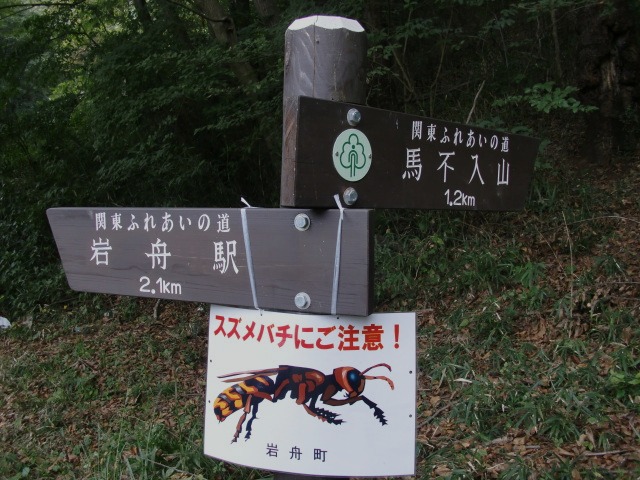 d0010065_20423812.jpg