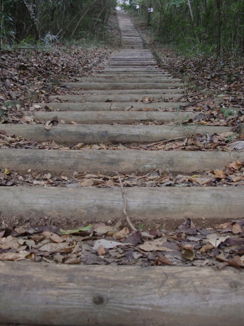 d0010065_2047299.jpg