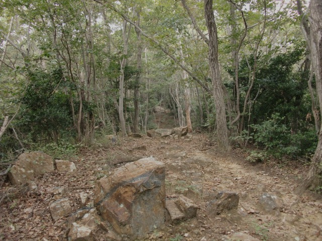 d0010065_2050447.jpg