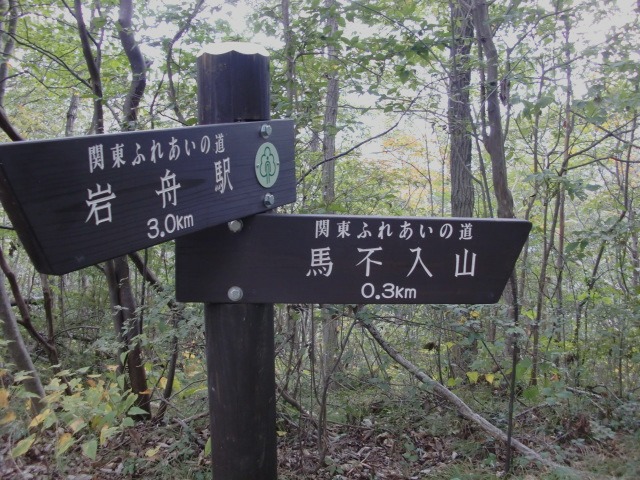 d0010065_2102886.jpg