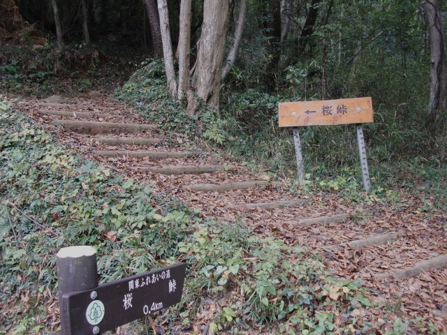 d0010065_21113941.jpg