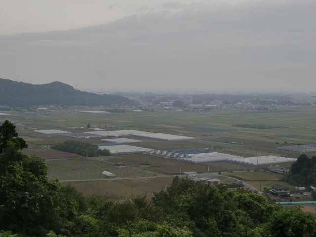 d0010065_21152454.jpg