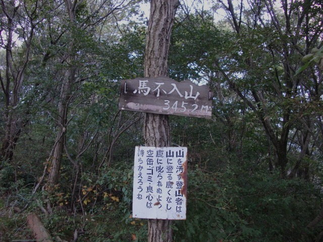 d0010065_21266.jpg