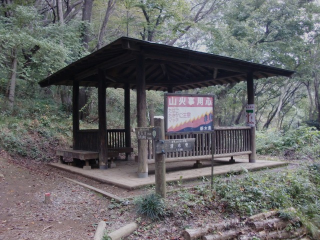 d0010065_218329.jpg