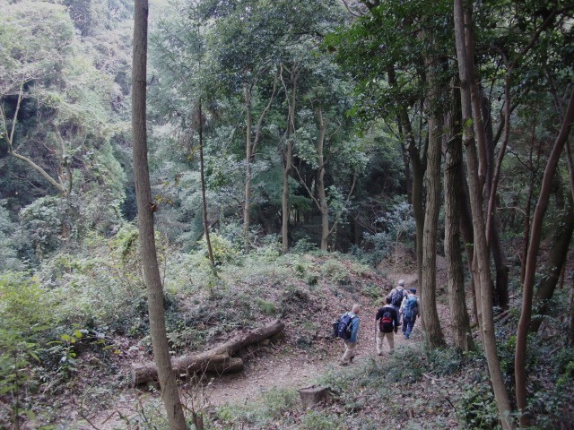 d0010065_2191675.jpg