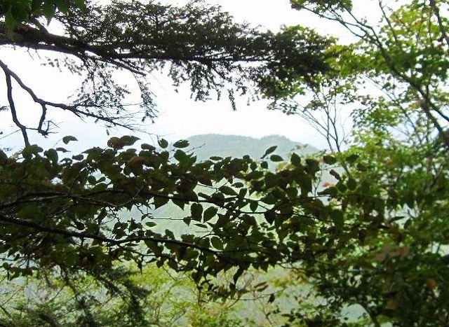 c0219866_1011841.jpg