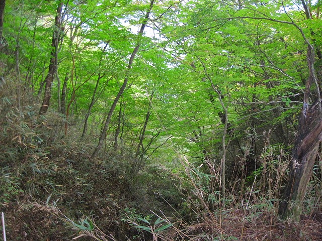 c0219866_103626.jpg