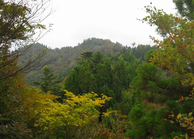 c0219866_959010.jpg