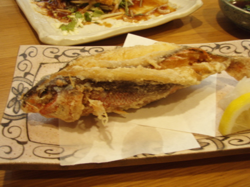 グル君_a0077071_1724270.jpg