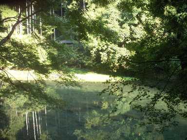 高雄→嵐山　　De Takao jusqu\'a Arashiyama_a0165872_17294764.jpg