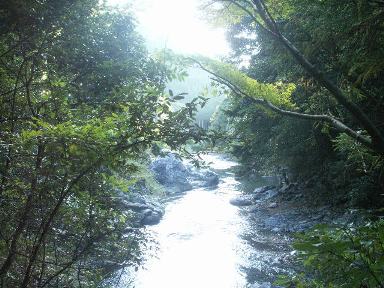 高雄→嵐山　　De Takao jusqu\'a Arashiyama_a0165872_17575413.jpg