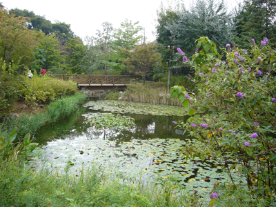 c0040472_23135641.jpg