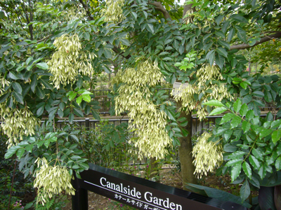 c0040472_23225787.jpg