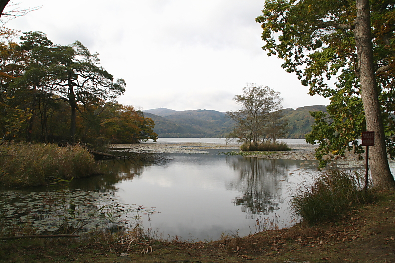 １０月２４日　大沼公園　　小沼の散策　１_c0112479_21312543.jpg