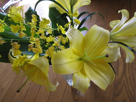 c0180581_16282185.jpg