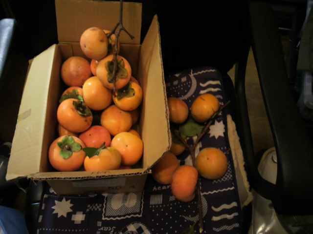 c0212083_230368.jpg