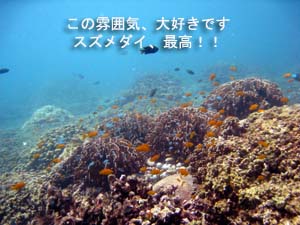 初めての体験ダイビング_f0144385_2239152.jpg